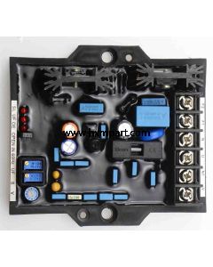 Automatic Voltage Regulator R120