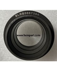 Bearing BLRB 366739 A