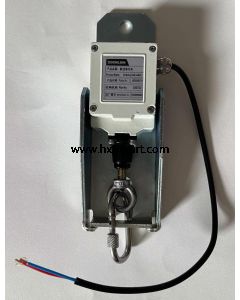 Zoomlion Limit Switch-A2B Switch 1020500007 1020500721